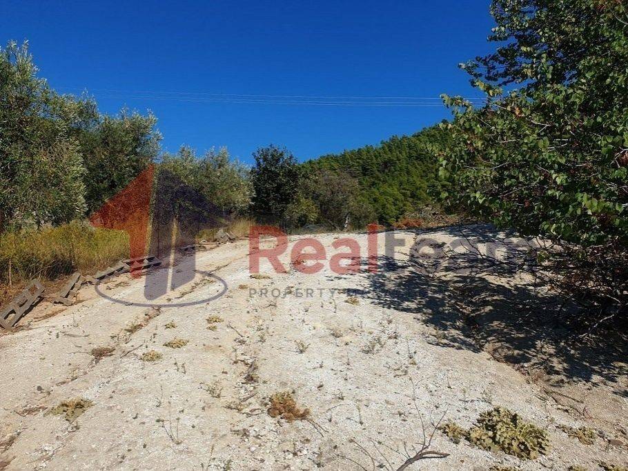 Εξωτερικοι χώροι