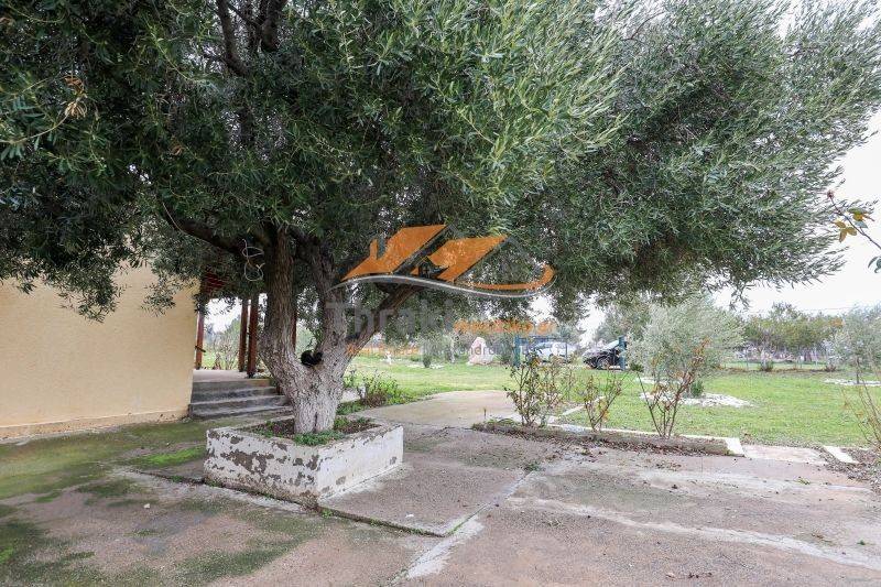 Ύπαρξη ανθρώπου