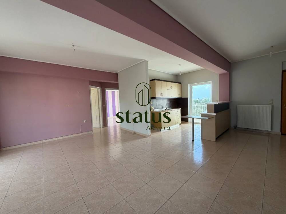 Σαλονοκουζίνα