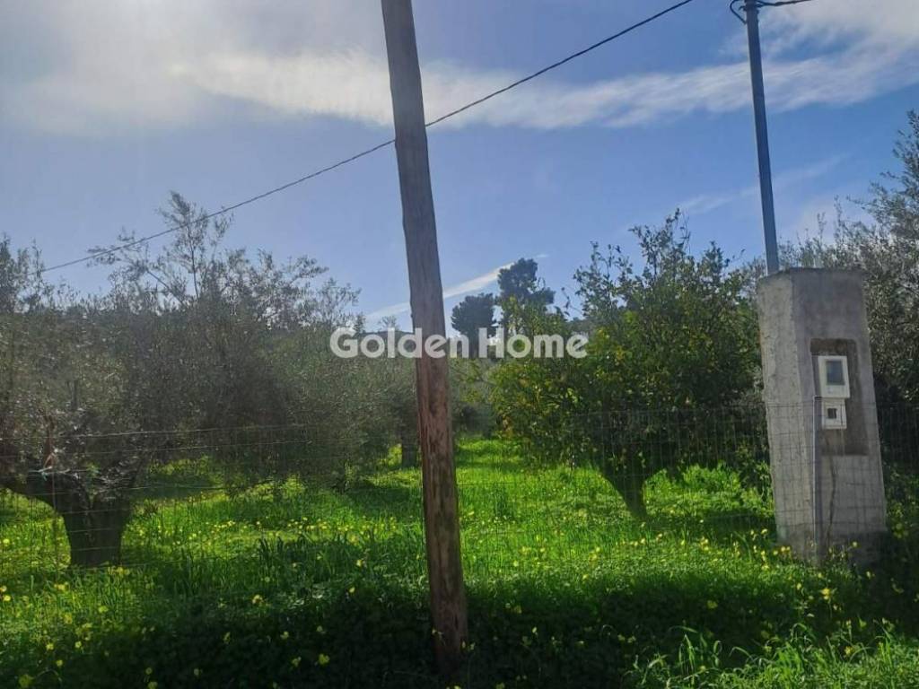 Εξωτερικός Χώρος