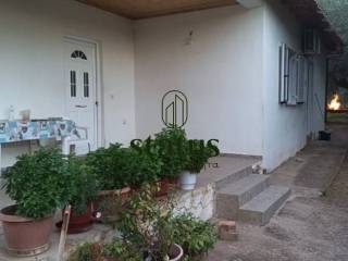 Πρόσοψη/Κήπος