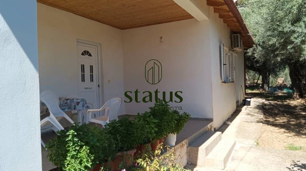 Πρόσοψη/Κήπος