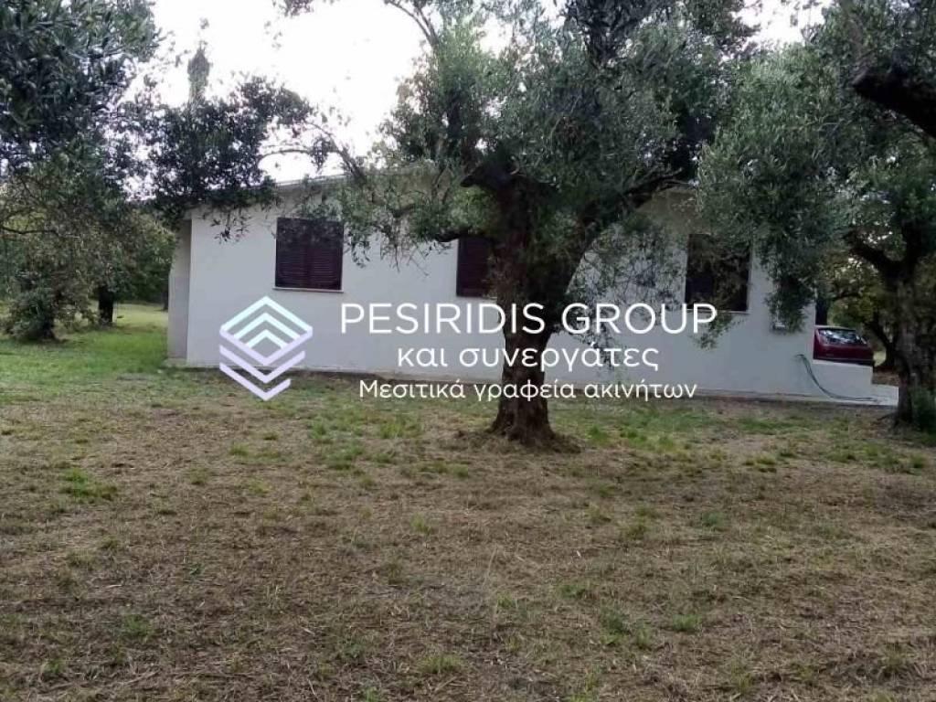 Εξωτερικός χώρος