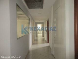 ΕΣΩΤΕΡΙΚΗ ΛΗΨΗ