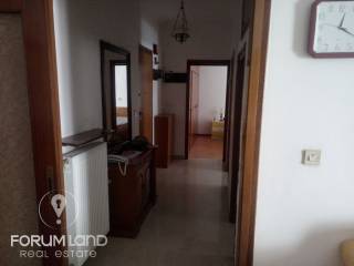 Forumland Real Estate, Χωλ