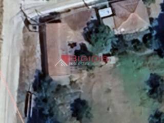 Ύπαρξη ανθρώπου