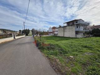 Εξωτερικοι χώροι