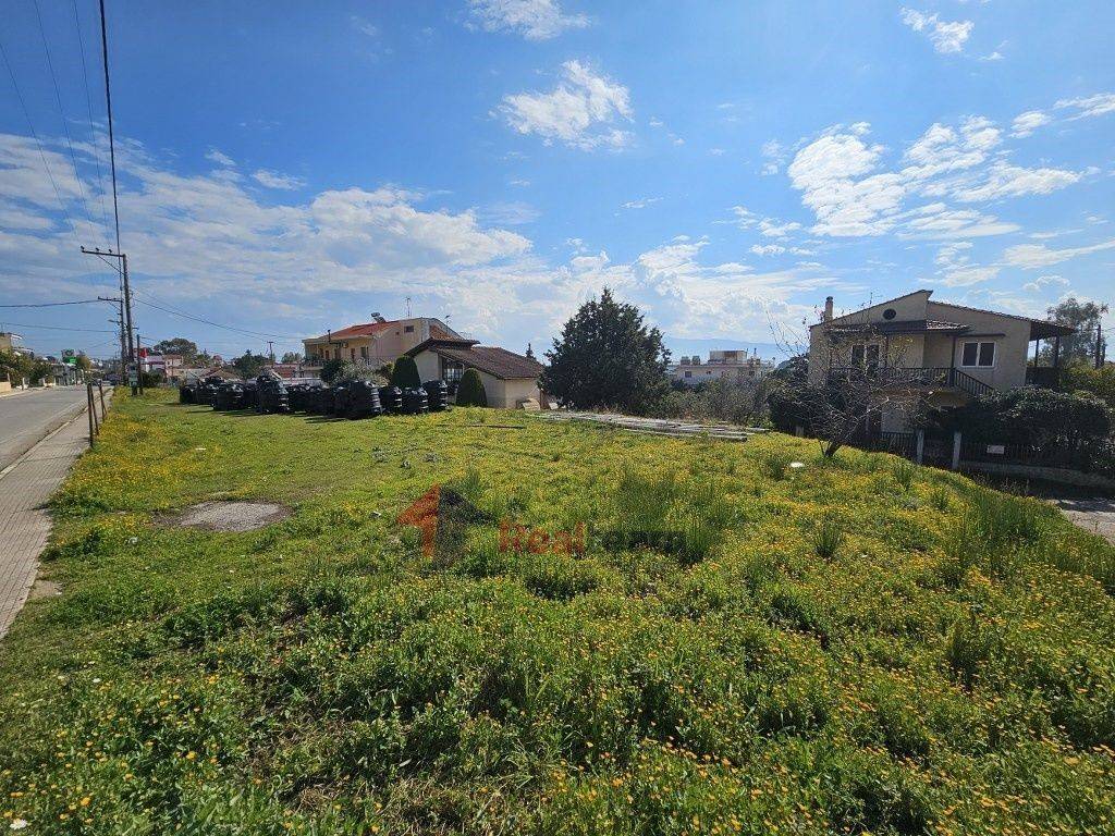 Εξωτερικοι χώροι