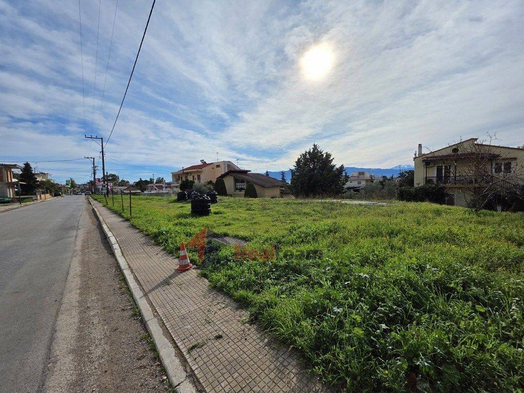 Εξωτερικοι χώροι