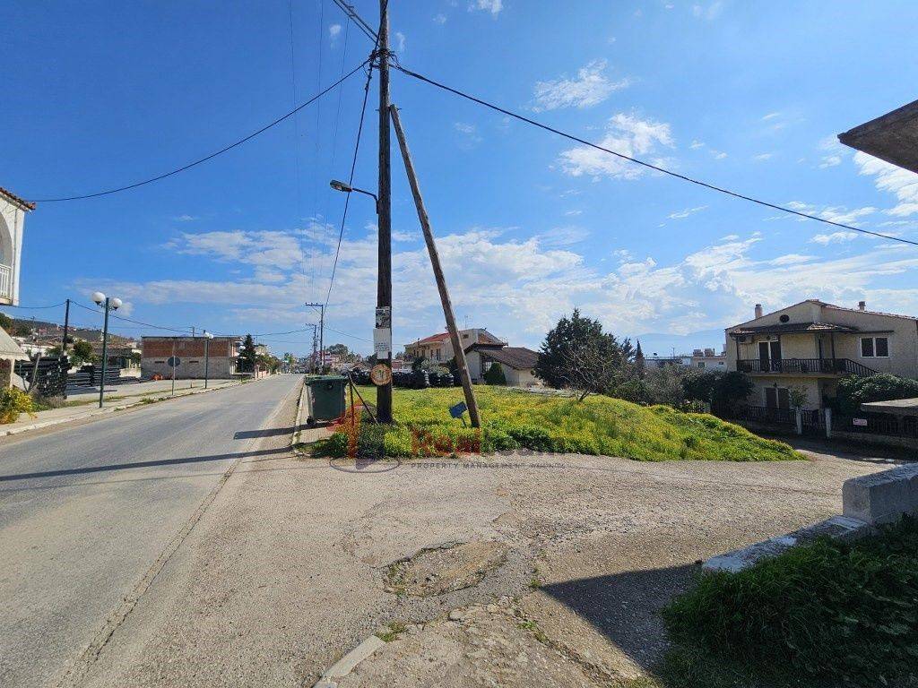 Εξωτερικοι χώροι