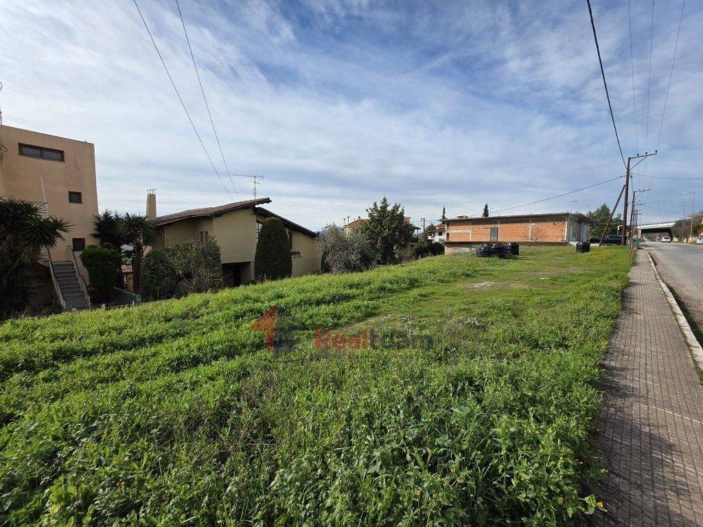 Εξωτερικοι χώροι