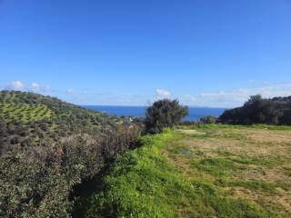 Plot - Grekodom 65418|1046116