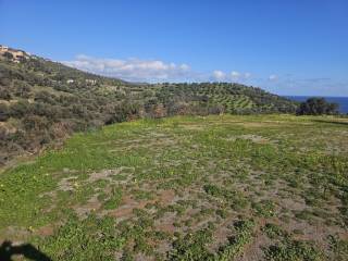 Plot - Grekodom 65418|1046113