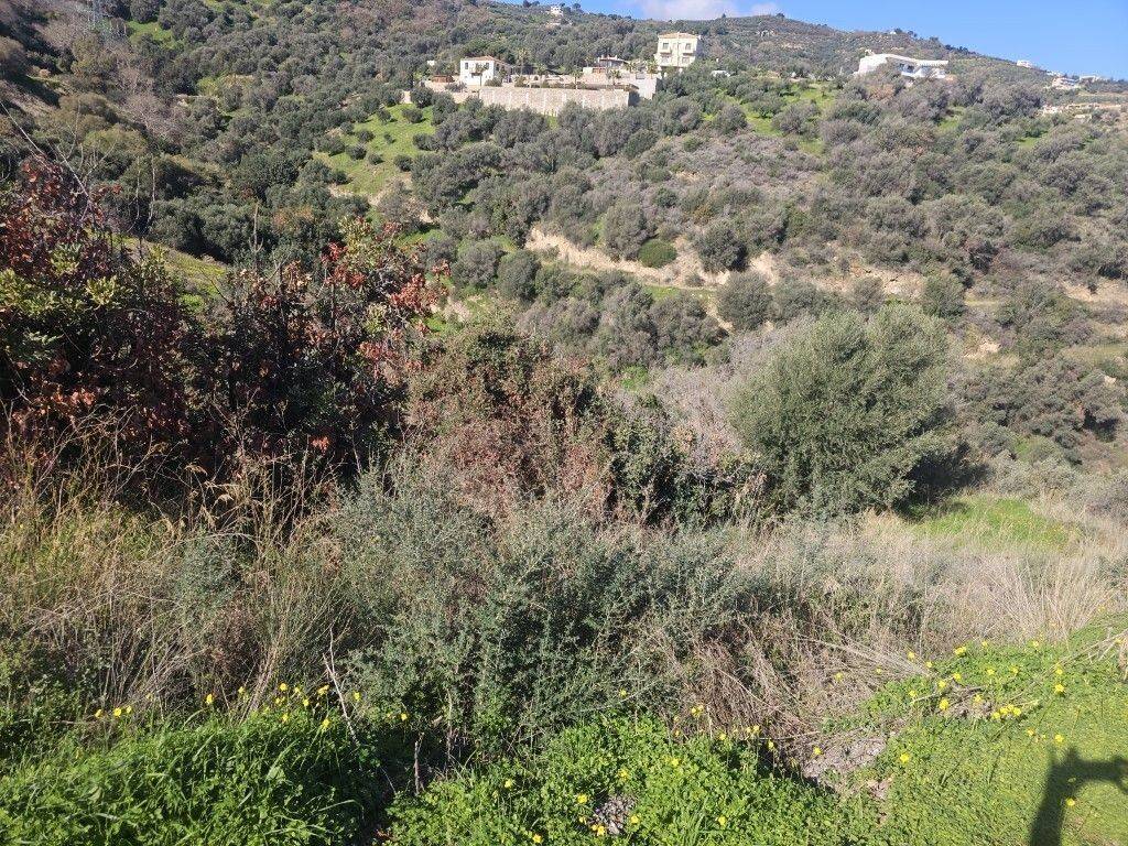 Plot - Grekodom 65418|1046114