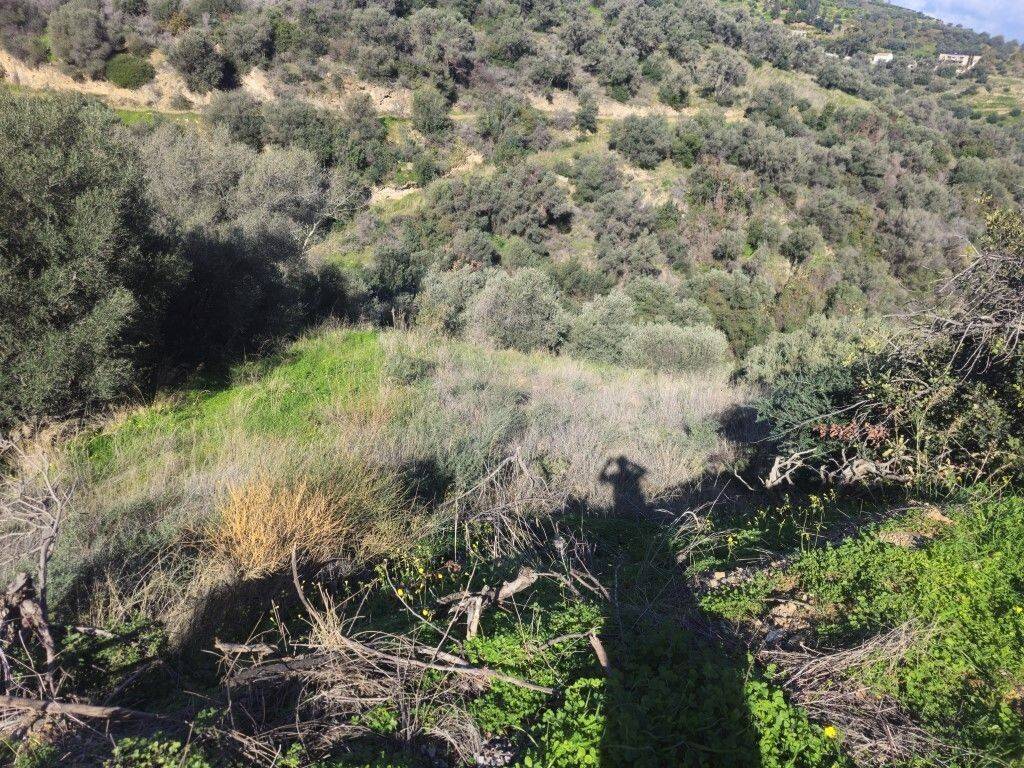 Plot - Grekodom 65418|1046117