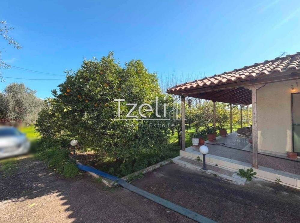 Εξωτερική άποψη χώρου