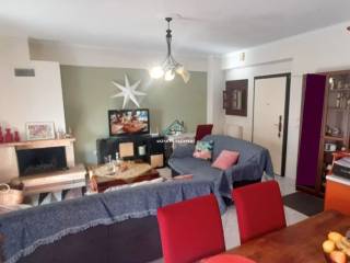 Σαλοκουζίνα