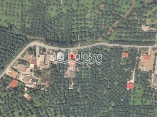 Ύπαρξη ανθρώπου