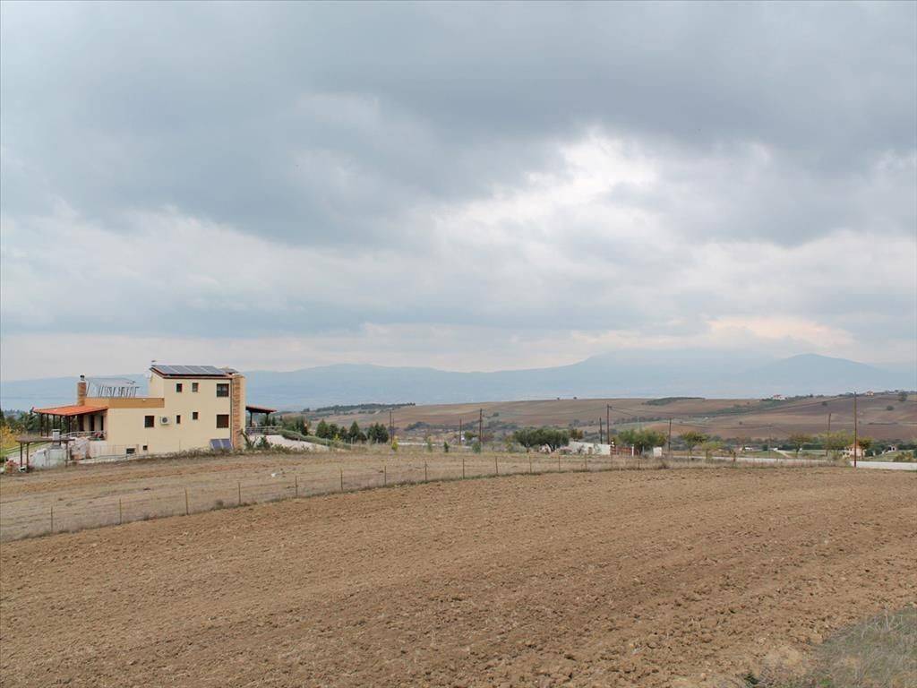 Detached - Grekodom 2565|31100