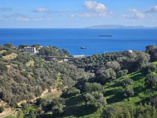 Plot - Grekodom 65420|1046205