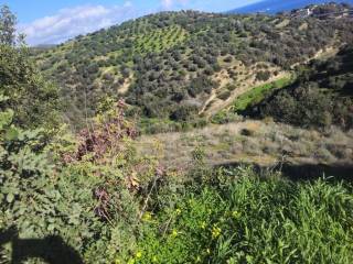 Plot - Grekodom 65420|1046201