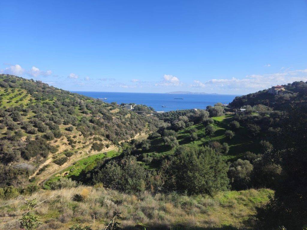 Plot - Grekodom 65420|1046204