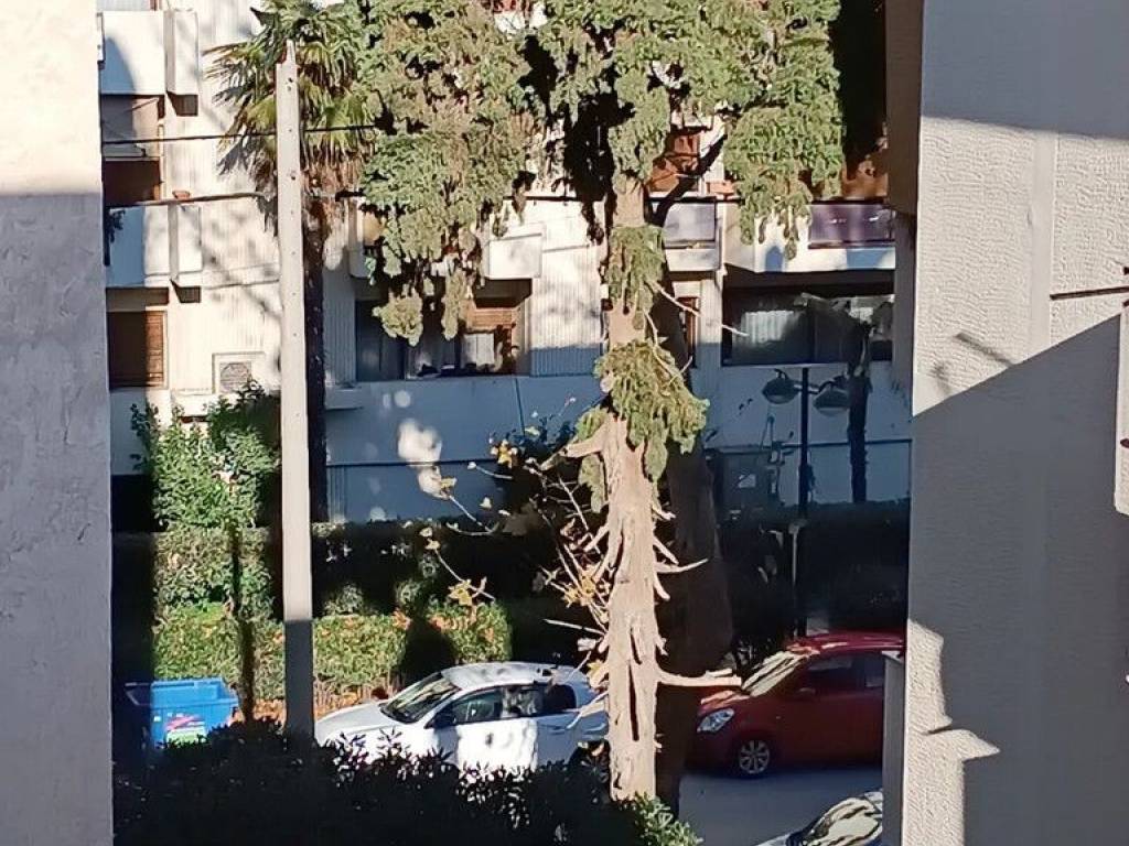 Apartment - Grekodom 65275|1044033