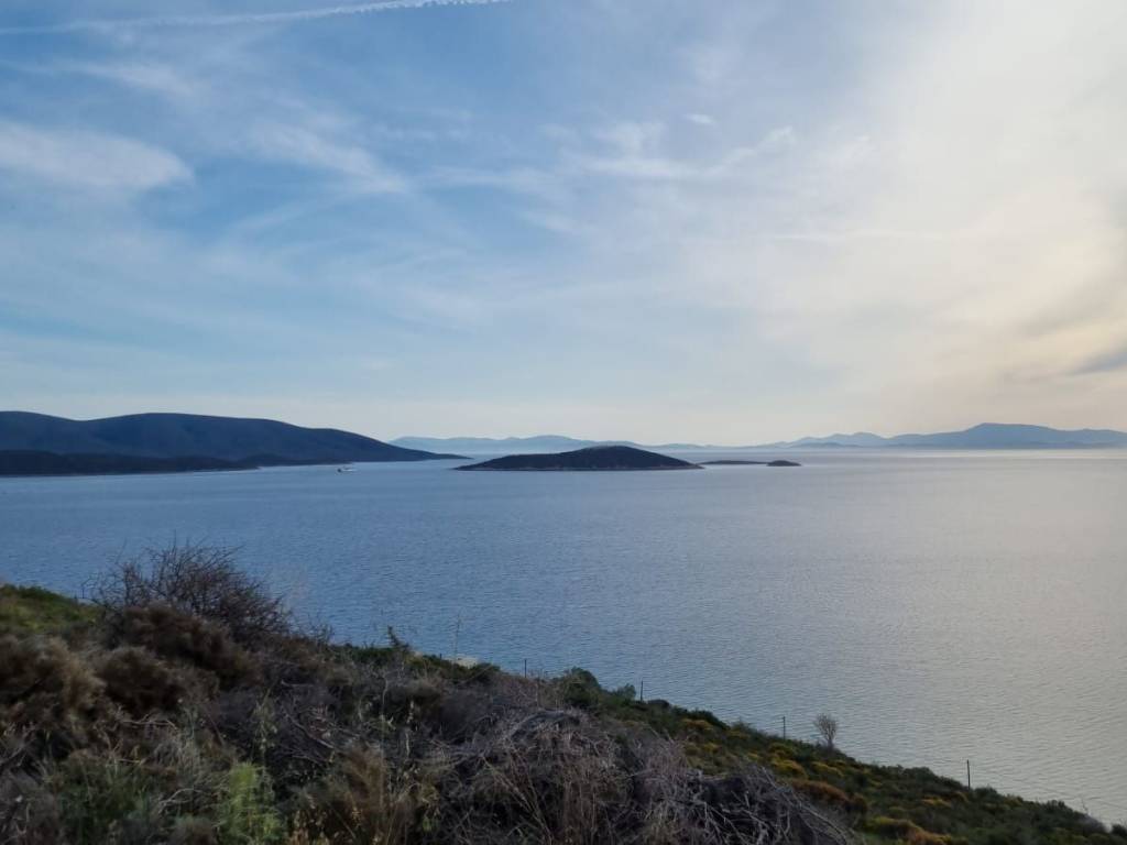 Εξωτερικοι χώροι