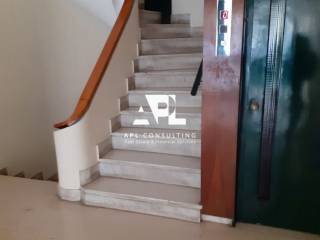 Anelkysteras kai skales