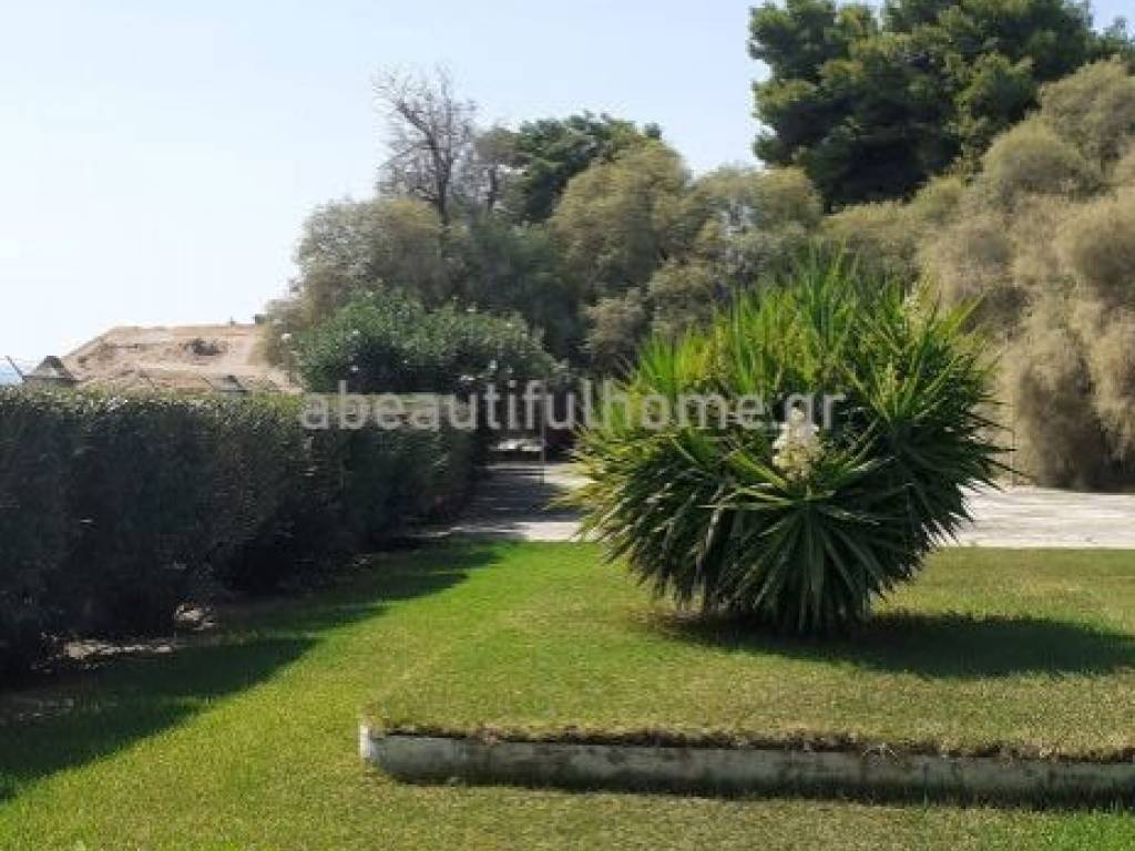 Εξωτερικοι χώροι