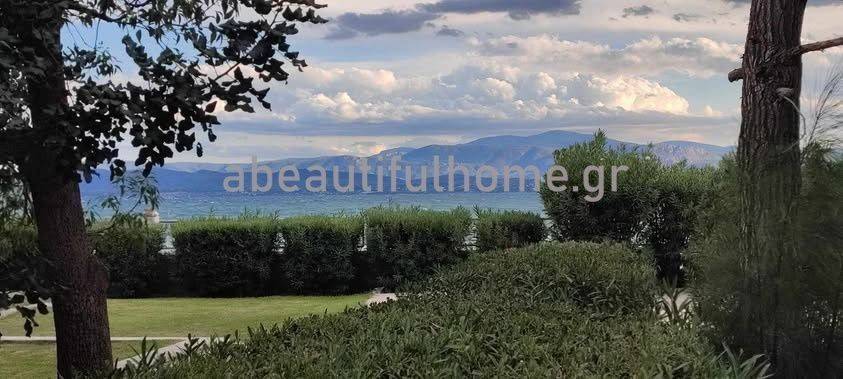 Εξωτερικοι χώροι