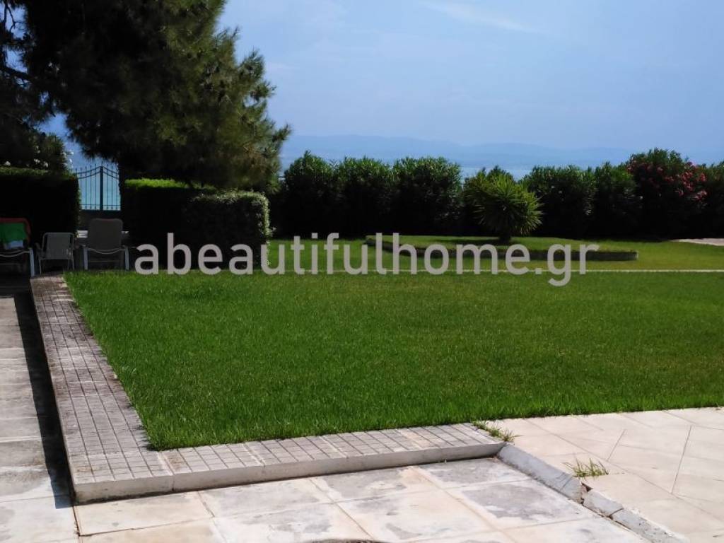 Εξωτερικοι χώροι