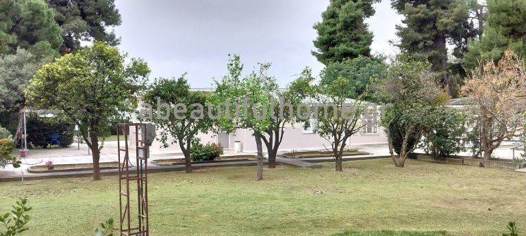 Εξωτερικοι χώροι