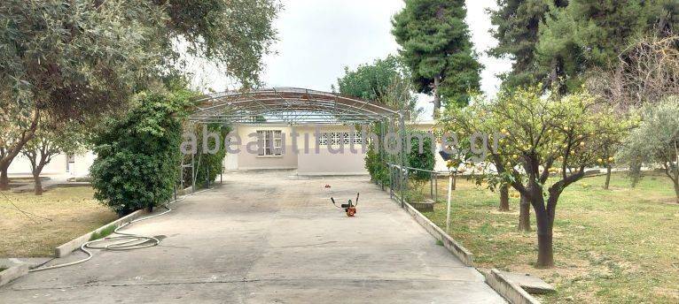 Εξωτερικοι χώροι