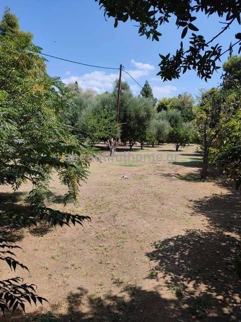 Εξωτερικοι χώροι