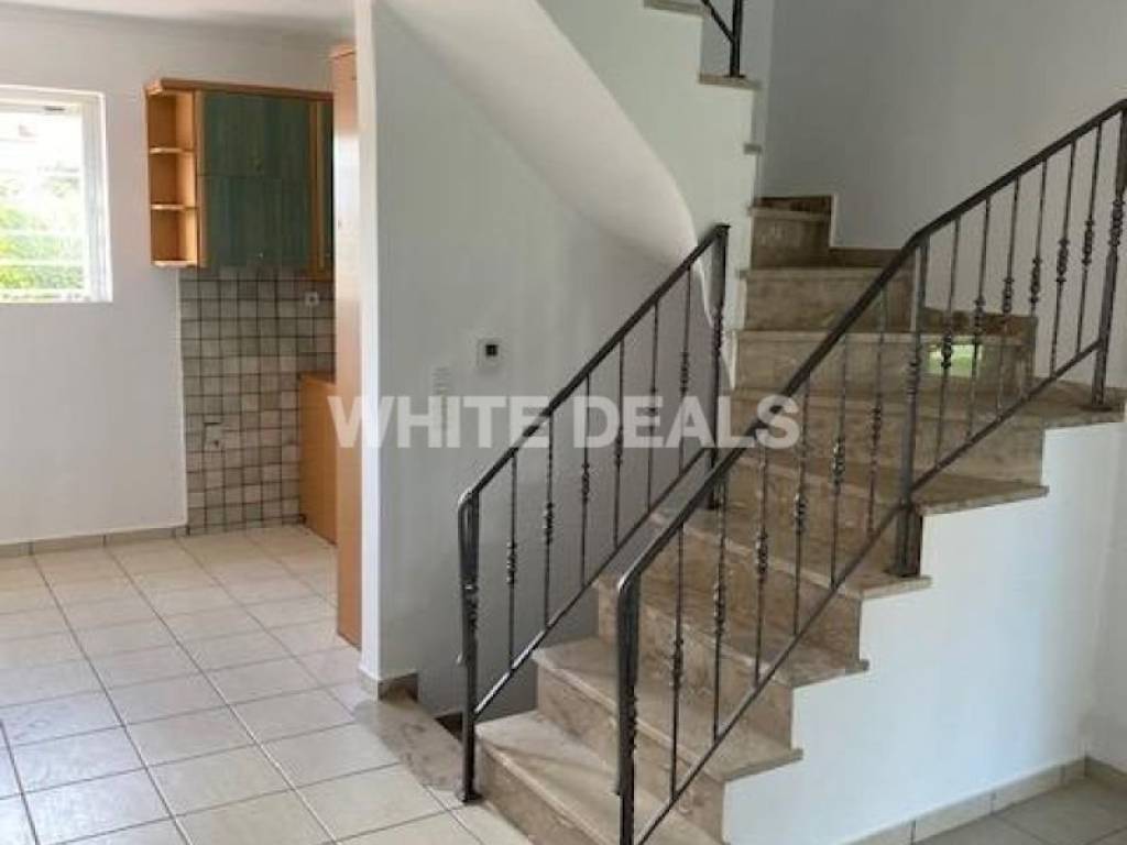 Σαλοκουζίνα