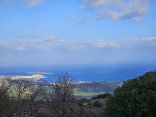 Plot - Grekodom 65310|1044308