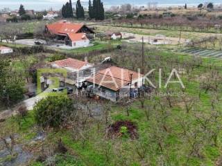 Ύπαρξη ανθρώπου