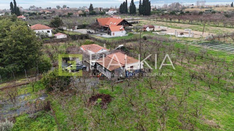 Ύπαρξη ανθρώπου