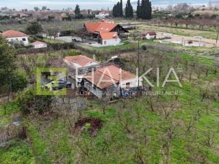 Ύπαρξη ανθρώπου