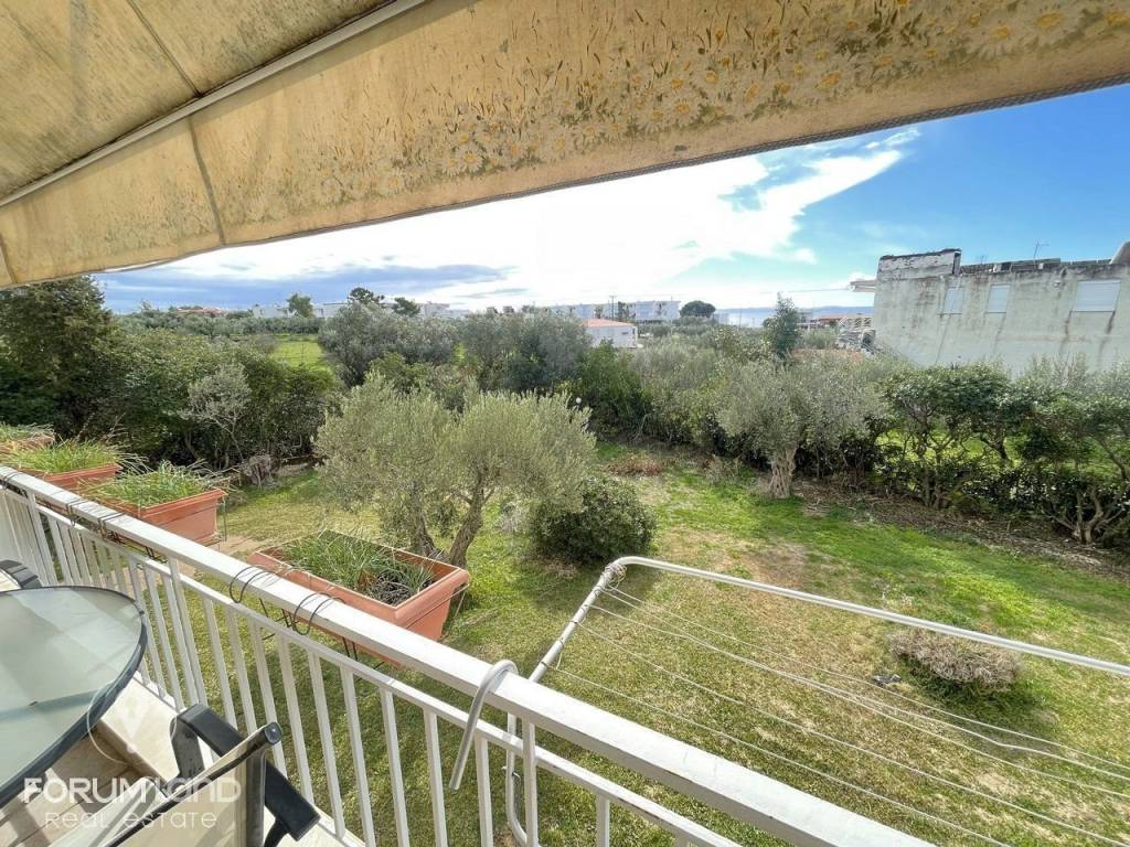 Forumland Real Estate, κήπος κοινόχρηστος