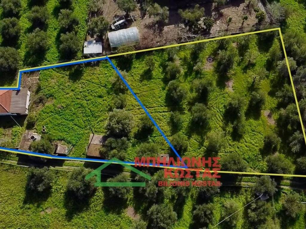 mple oria entos oikismoy