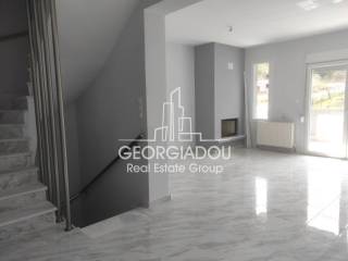 Σαλοκουζίνα