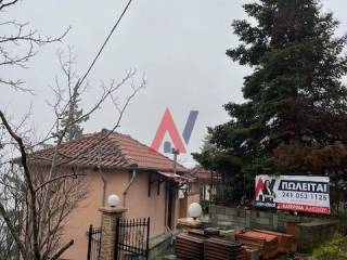 καναλια πανο1.jpeg