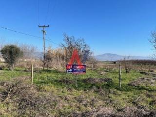 βρυοτοπος πανο1.jpeg