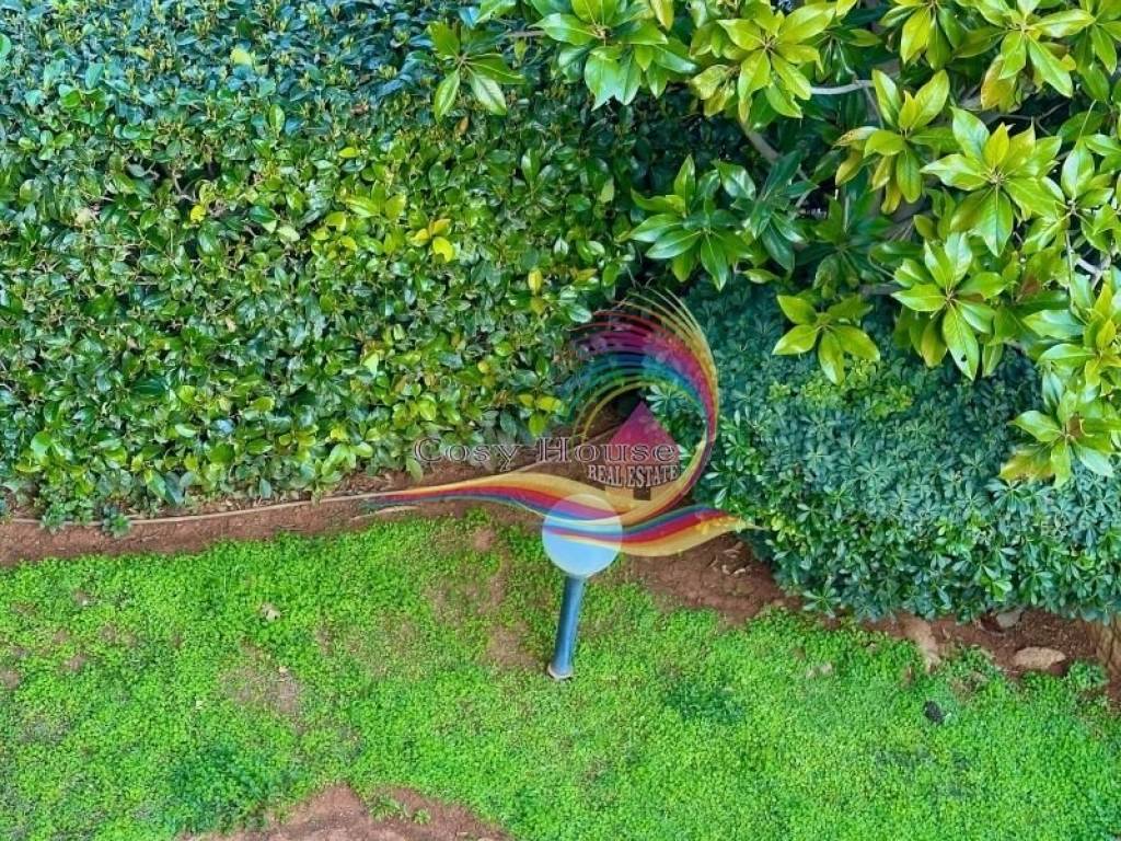 Ύπαρξη ανθρώπου