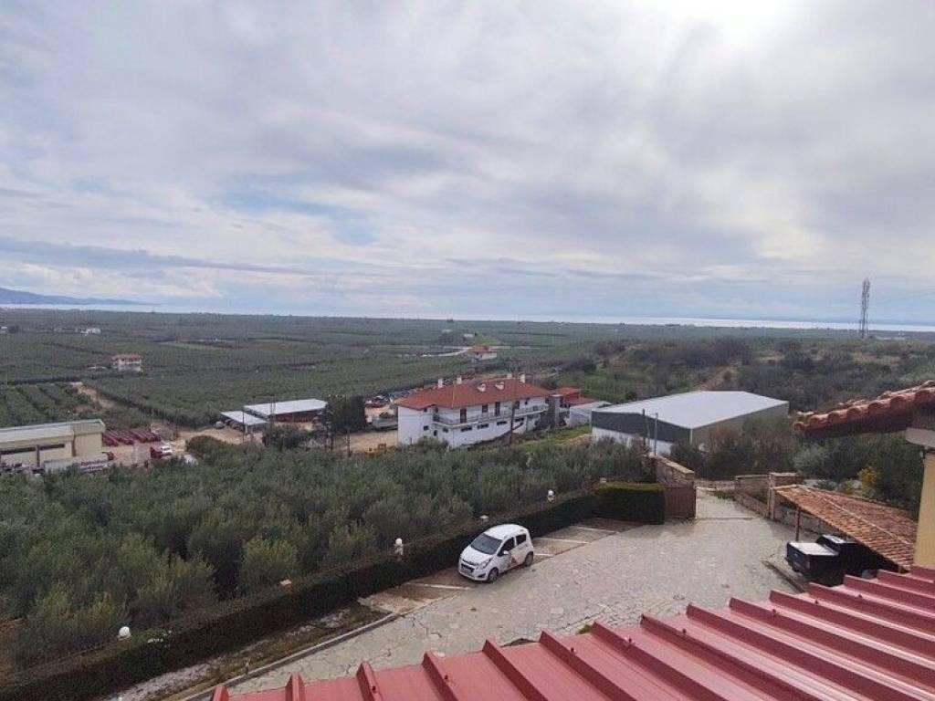 Apartment - Grekodom 65396|1045749