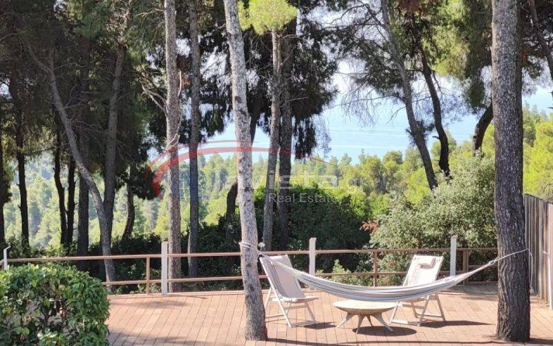 Ύπαρξη ανθρώπου