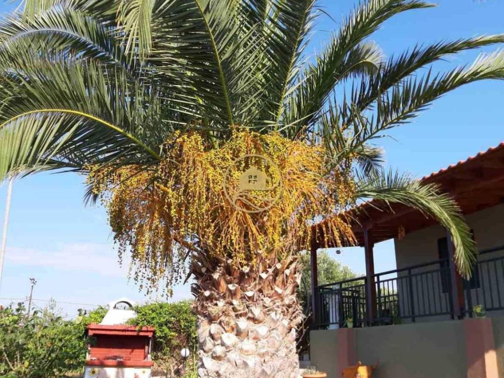 θέα εξωτερικού χώρου