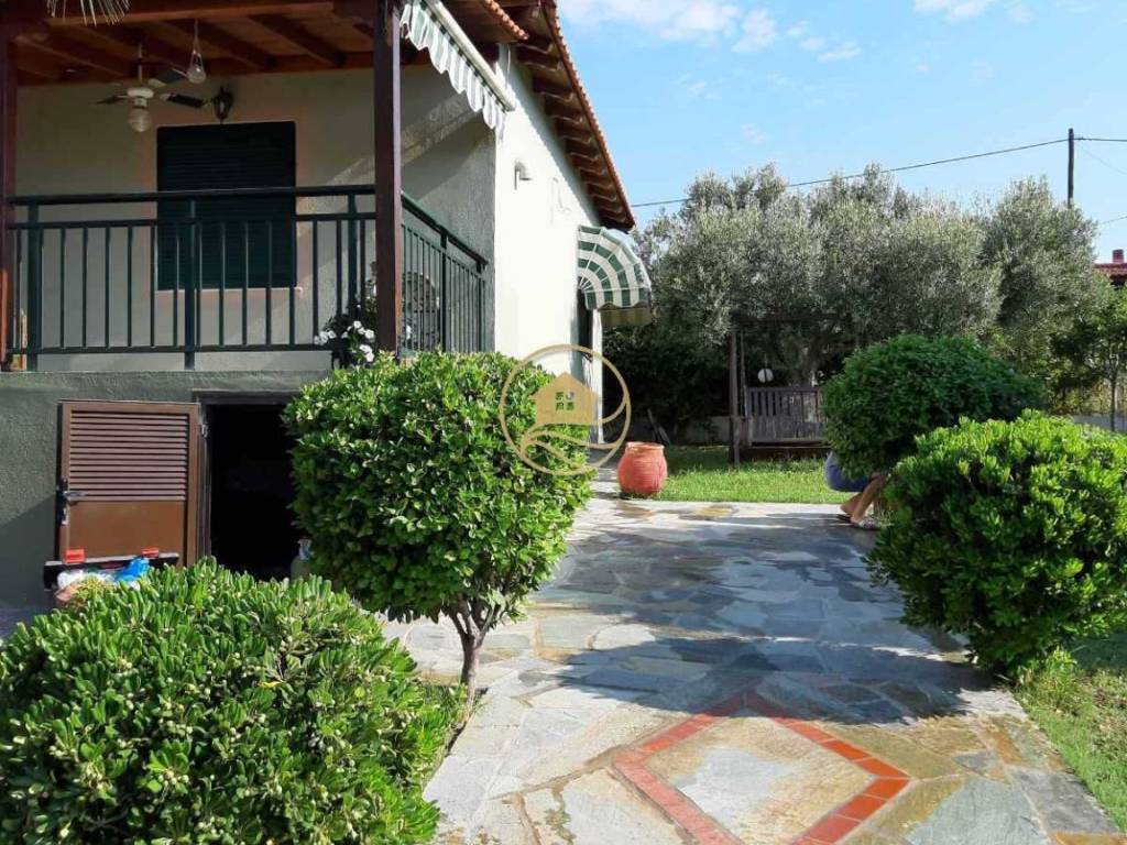 thea exoterikoy choroy